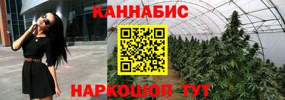 ешки Вышний Волочёк