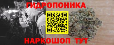 ПСИЛОЦИБИНОВЫЕ ГРИБЫ Вязьма