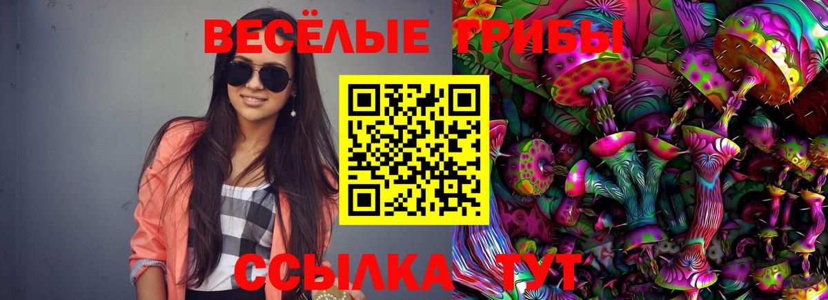 Псилоцибиновые грибы мицелий Гатчина